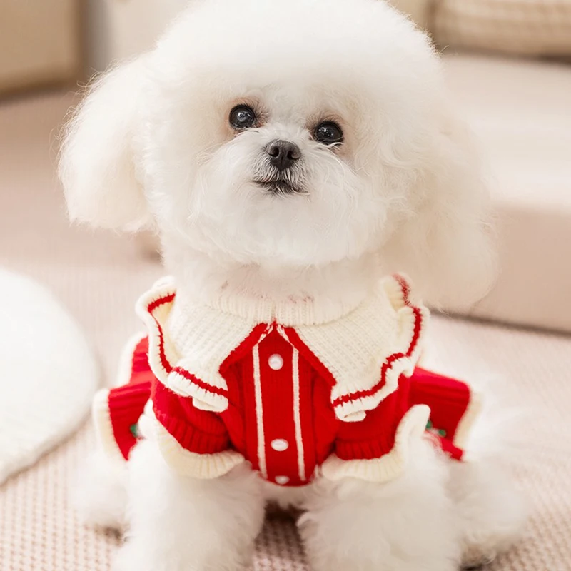 Ropa navideña de invierno para mascotas, falda, suéter cálido, jersey, suéter de princesa, ropa para perros, vestido de peluche de flores bordadas de punto - imagen 4