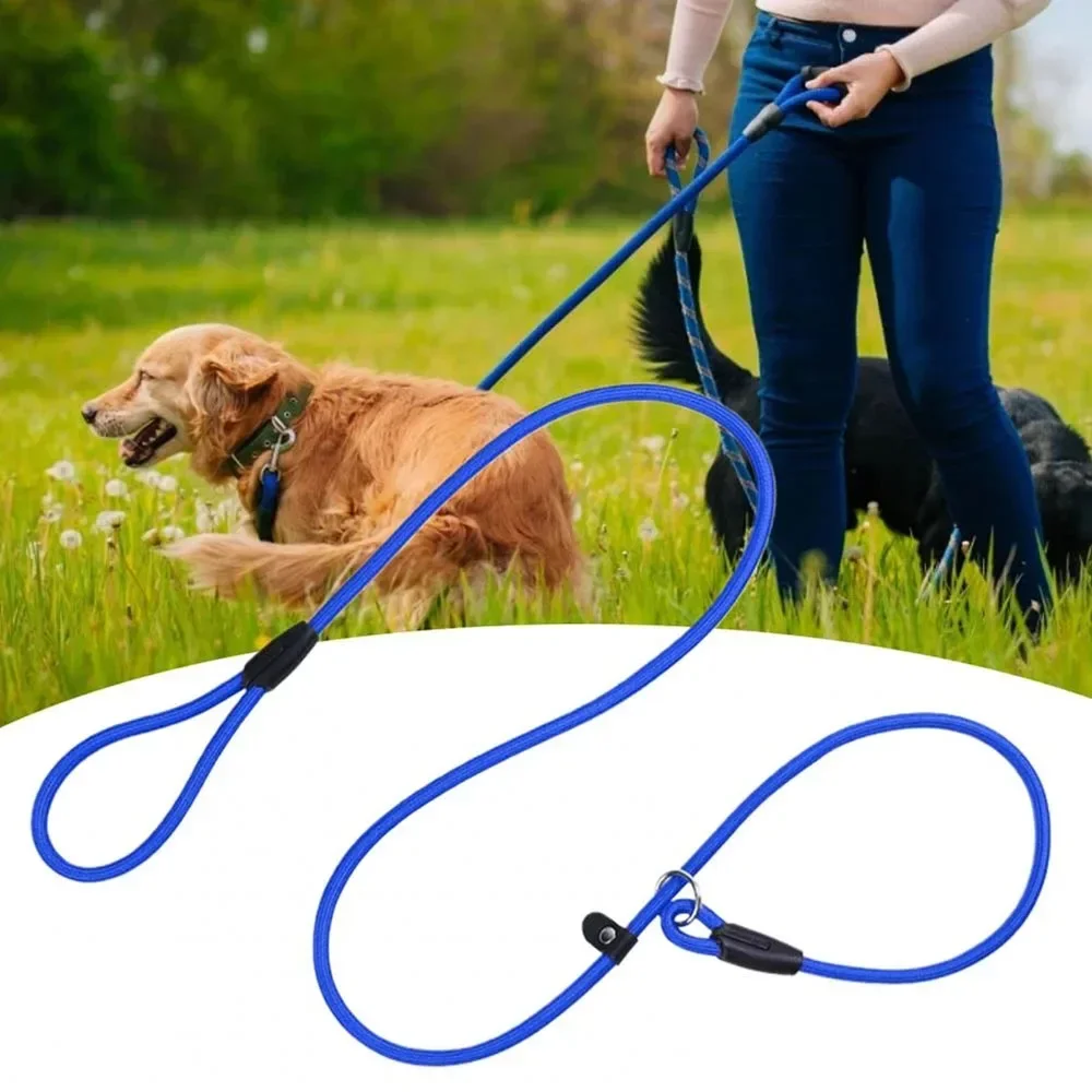 Correa para perro, cadenas antideslizantes, cables de Collar, cuerda de nailon resistente y resistente, correa de entrenamiento para mascotas sin tirar para perros pequeños, cuerda de tracción para cachorros - imagen 5
