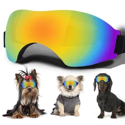 Gafas de sol para perros – Protección UV, viento y lluvia