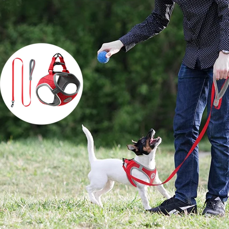 Correa para perro de 1,5 M, chaleco fuerte, conjunto de arnés para perro, arnés de pecho para perros pequeños y medianos, arnés reflectante para caminar al aire libre para mascotas, Teddy