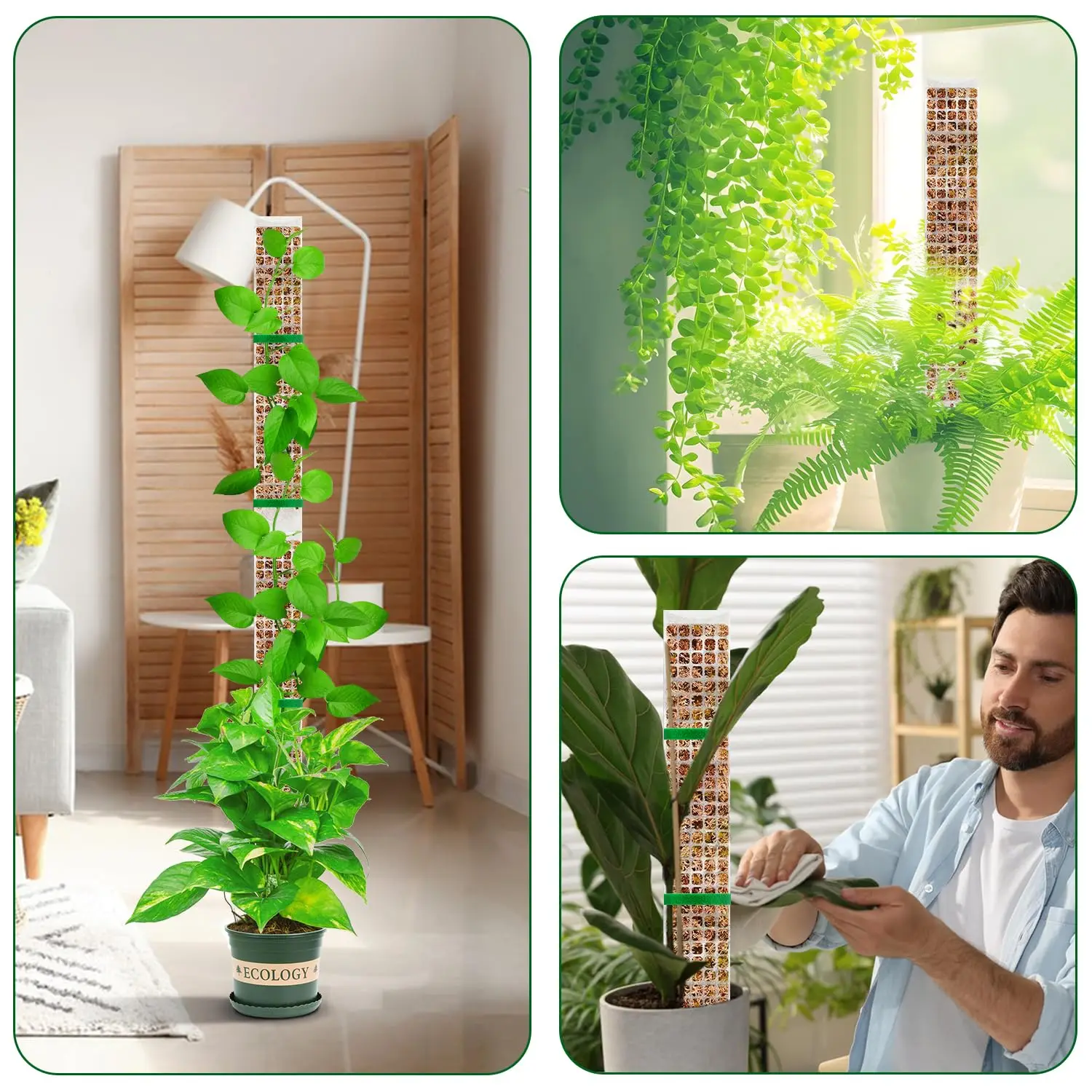Poste de musgo para plantas, sujeto de jardín, escaladores de plantas de flores, accesorios para bonsái, macetas, tutores, para maceteros, soporte para crecimiento de plantas