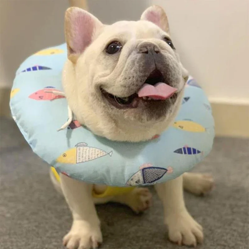 Collar ajustable de recuperación para gatos, cono suave para mascotas, cono protector para la curación de heridas después de la cirugía, Collar isabelino para perros y gatos - imagen 5