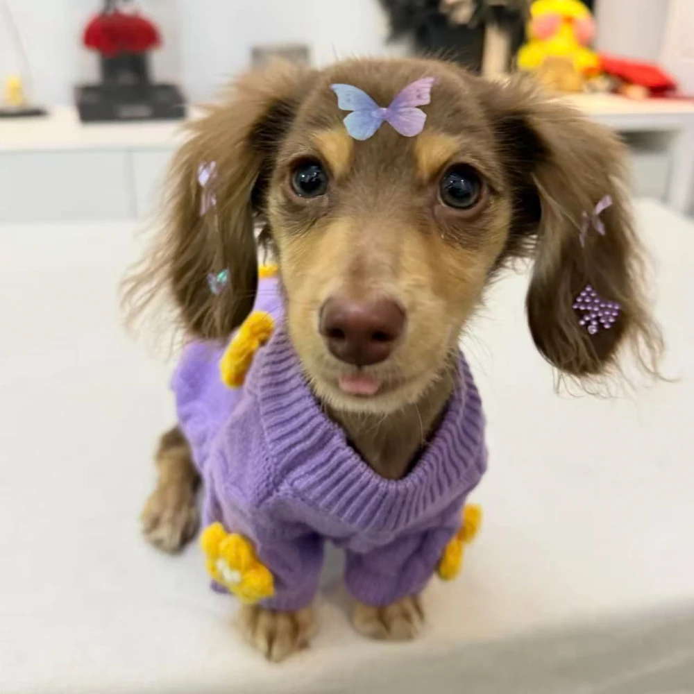 Suéter floral de punto para perro salchicha – Cálido y cómodo - imagen 5