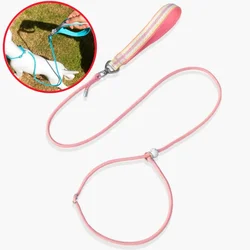 Correa con cadena para perros y cachorros – Nailon resistente y ajustable