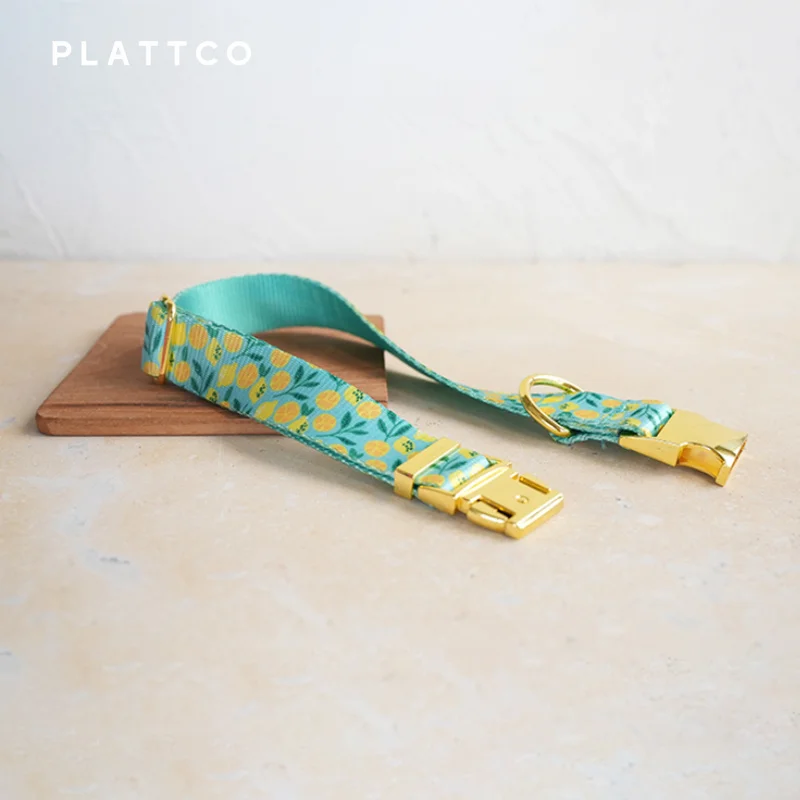 Conjunto de paseo para perro estampado limón con hebilla dorada - imagen 5