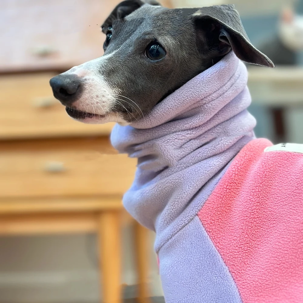 Sudadera cálida de lana púrpura y rosa para perros medianos, abrigo de invierno suave de 4 patas con cuello alto a prueba de viento para Italia Little Greyhound - imagen 2