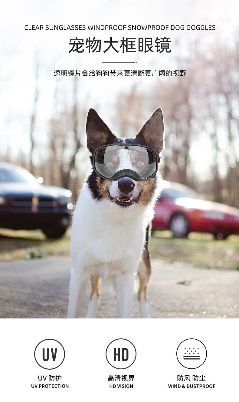Gafas de sol para perros grande - vista lateral
