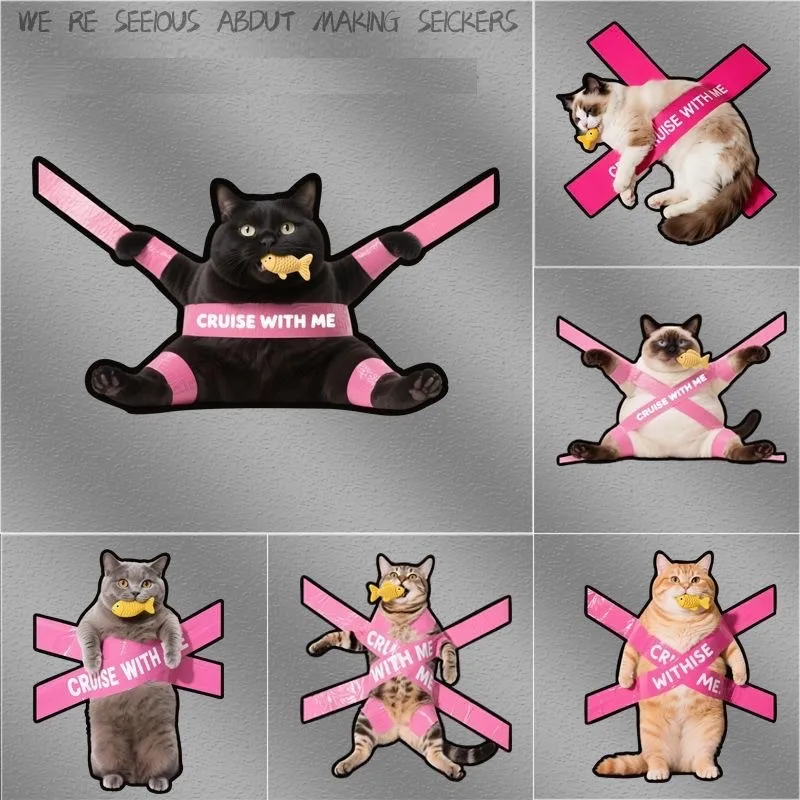 Pegatinas creativas impermeables para gatos – en coches y motos - imagen 5
