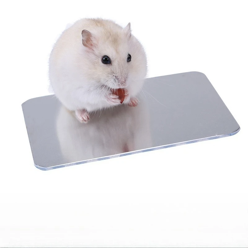 Tablero de enfriamiento duradero de aluminio y plástico para mascotas, suministros de conejo y hámster plateado, tablero de enfriamiento para hámster, almohadilla de hielo para mascotas - imagen 4