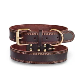 Collar de cuero para perro, collares para perros de cuero auténtico de doble punto auténtico y resistente con Collar ancho de entrenamiento para caminar para perros con hebilla de Metal
