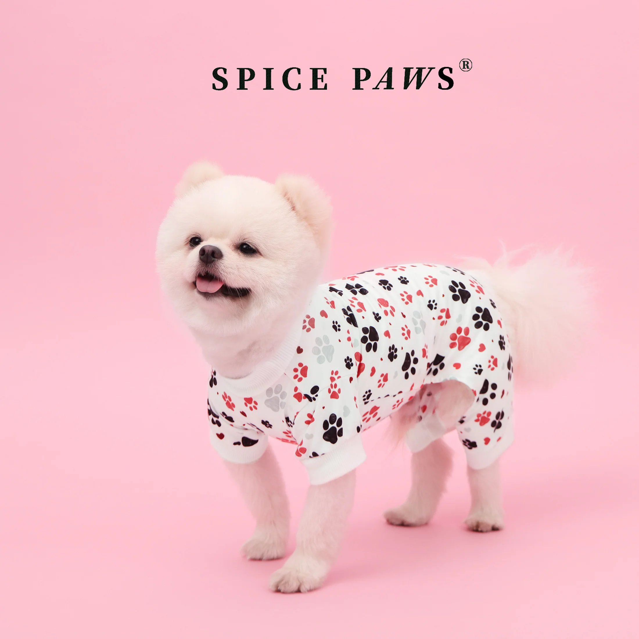 Mono de cuatro patas para gatos y perros con huellas de San Valentín - imagen 3