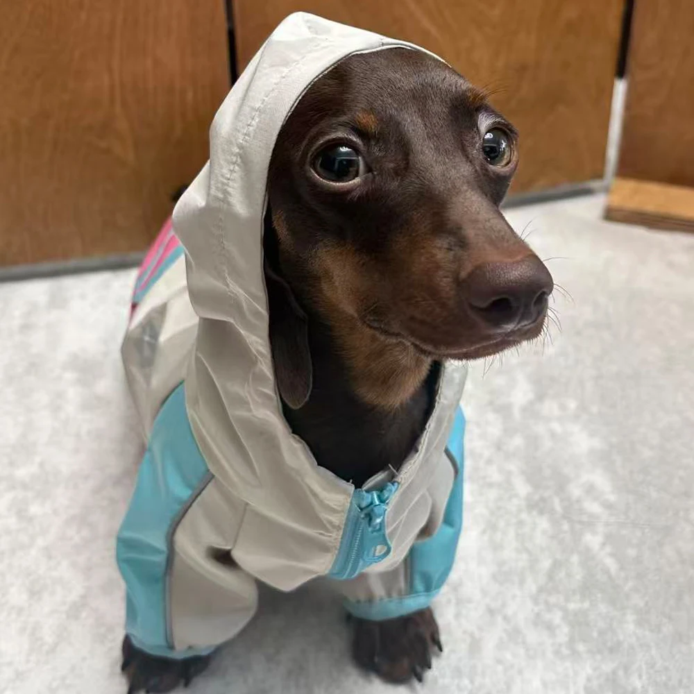 Chaqueta impermeable para perros Wiener, impermeable de 2 patas para perros tejón, chaqueta intercambiable transpirable para perros salchicha - imagen 3