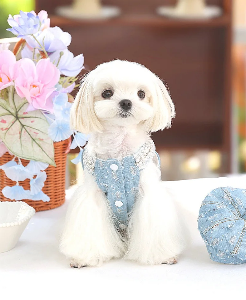 Chaleco y tirantes con forro polar vaquero para perros pequeños como Bichon Frises Poodles chaleco para perros con sombrero ropa para perros - imagen 2