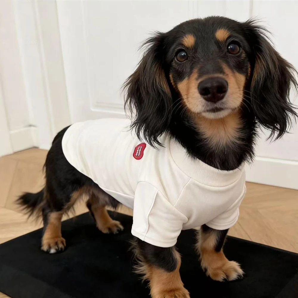 Abrigo reflectante para perros Dachshund – Primavera - imagen 2