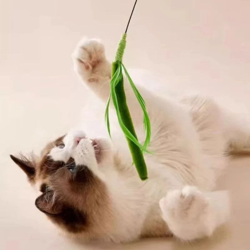 Juguete interactivo para gatos, cola de perro, hierba, perro, pluma de salvia, poste largo, palo de burlas para gatos, juguete con sonido resistente a mordeduras, suministros para mascotas - imagen 3