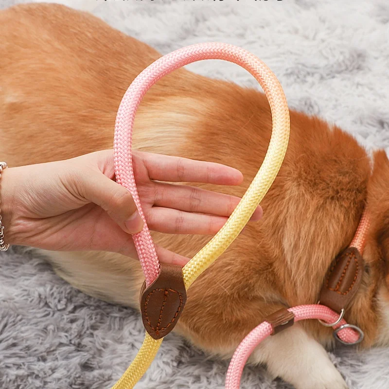 Correa ajustable anti-tirón para perros, cuerda de nailon reflectante para correr al aire libre, caminar, playa y hacer senderismo, ajuste seguro para cachorros