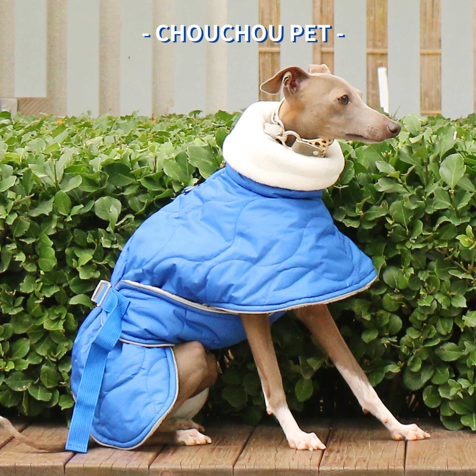 Chaqueta para mascotas gruesa impermeable cálida de algodón de invierno Whippet galgo italiano - imagen 3