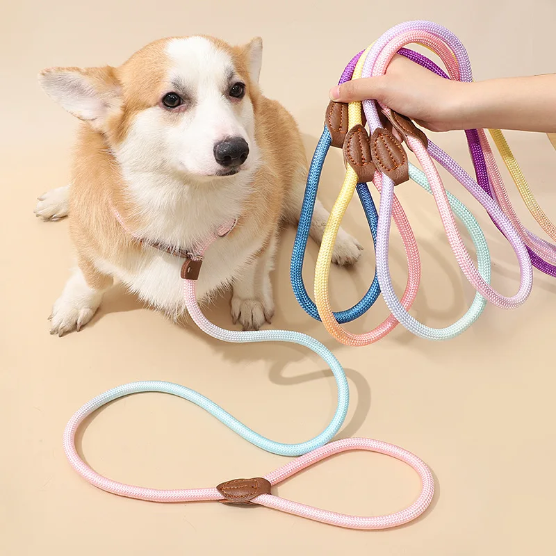 Correa ajustable anti-tirón para perros, cuerda de nailon reflectante para correr al aire libre, caminar, playa y hacer senderismo, ajuste seguro para cachorros - imagen 5