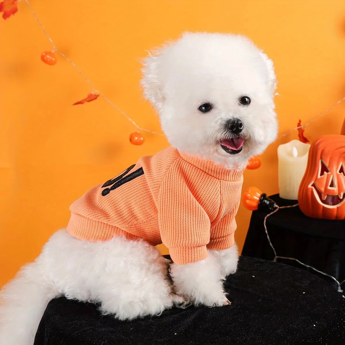 Halloween cuello redondo naranja ropa para mascotas perro gato divertido negro Boo inglés bordado jersey abeto - imagen 3