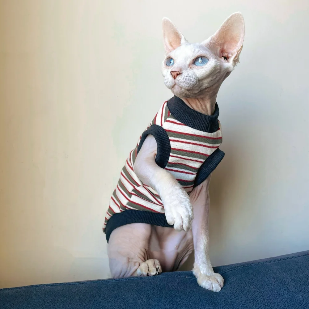 Ropa para gatos Sphynx camiseta de algodón primavera - verano chaleco a rayas para gatos masculinos Devon Rex elstic abrigo manga corta suave - imagen 5