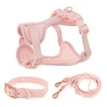 Collar Harness Leash