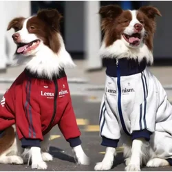 Abrigo impermeable para Bulldog Francés – Cálido y resistente al frío