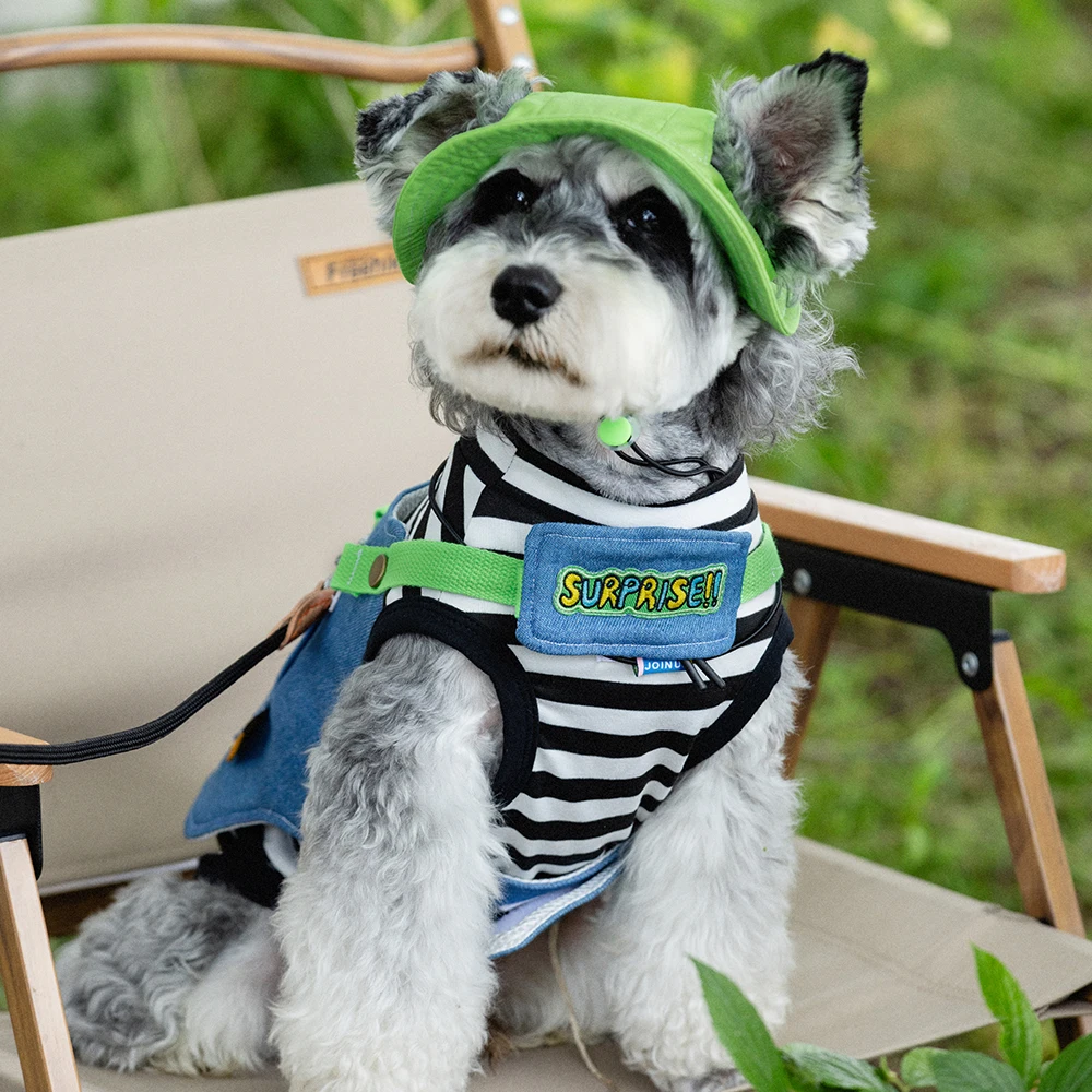 Chaleco de cuerda de plomo ajustable para perros y gatos, correa de plomo práctica para caminar al aire libre para primavera y verano, accesorios para mascotas y gatos pequeños - imagen 5