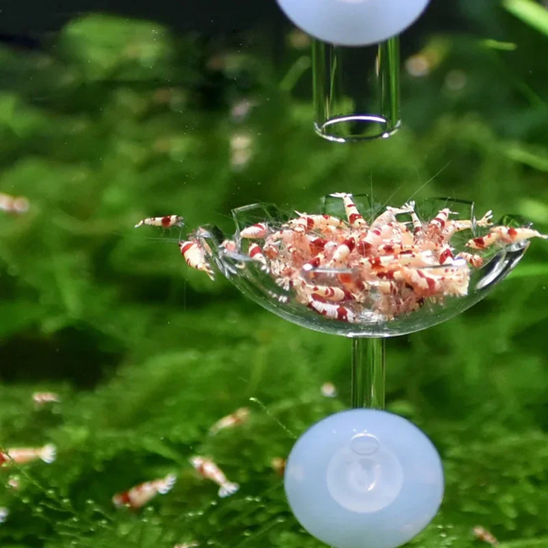 alimentador alimentos peces acuario tubo alimentación vidrio transparente plato succión cuenco camarones tubo alimentador bandeja alimentadora tanque peces