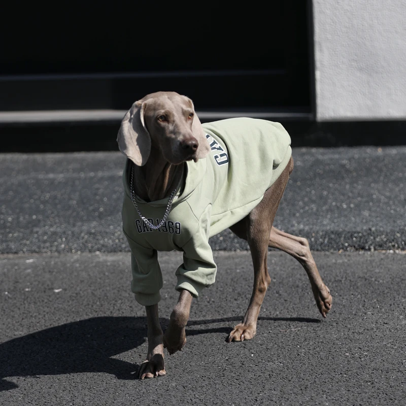 Moda Primavera fuera de perro grande Sudadera con capucha Golden Retriever Labrador trajes verdes disfraz de lujo para perros medianos y grandes - imagen 2