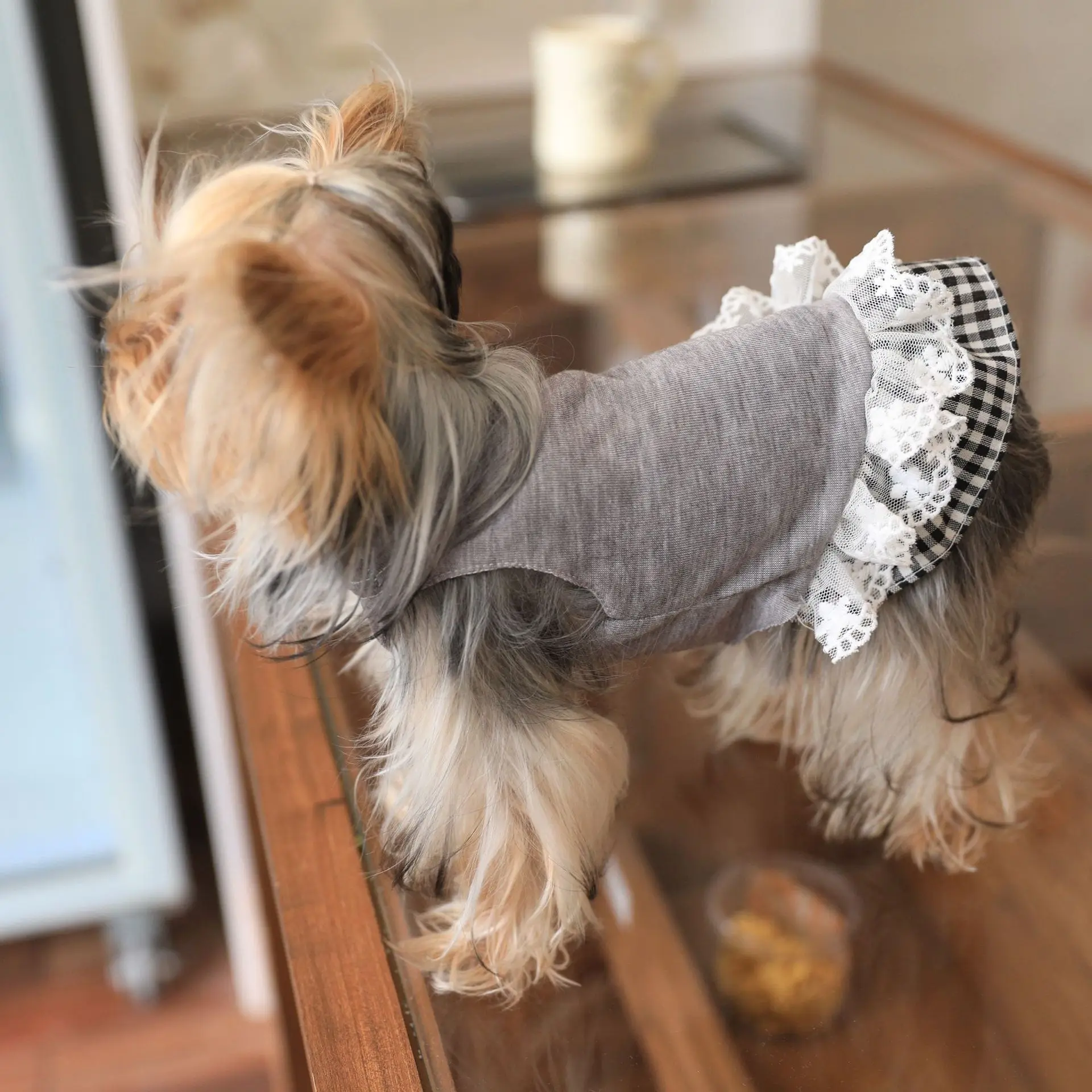 Camisa básica de Color sólido para mascotas, vestido de encaje a cuadros, camiseta para gato, perro de peluche, ropa para cachorros pequeños, primavera