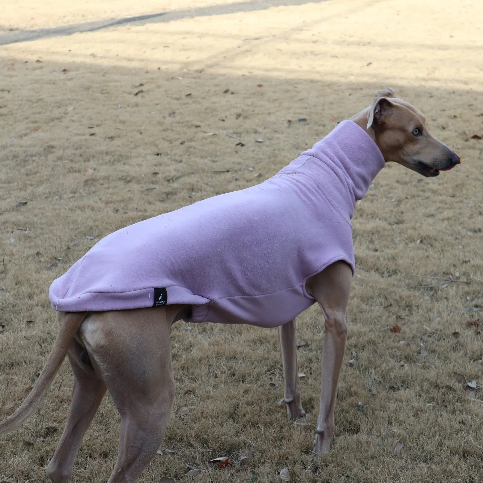 Abrigo para galgos perros y whippets forro polar verde cuello alto - imagen 3