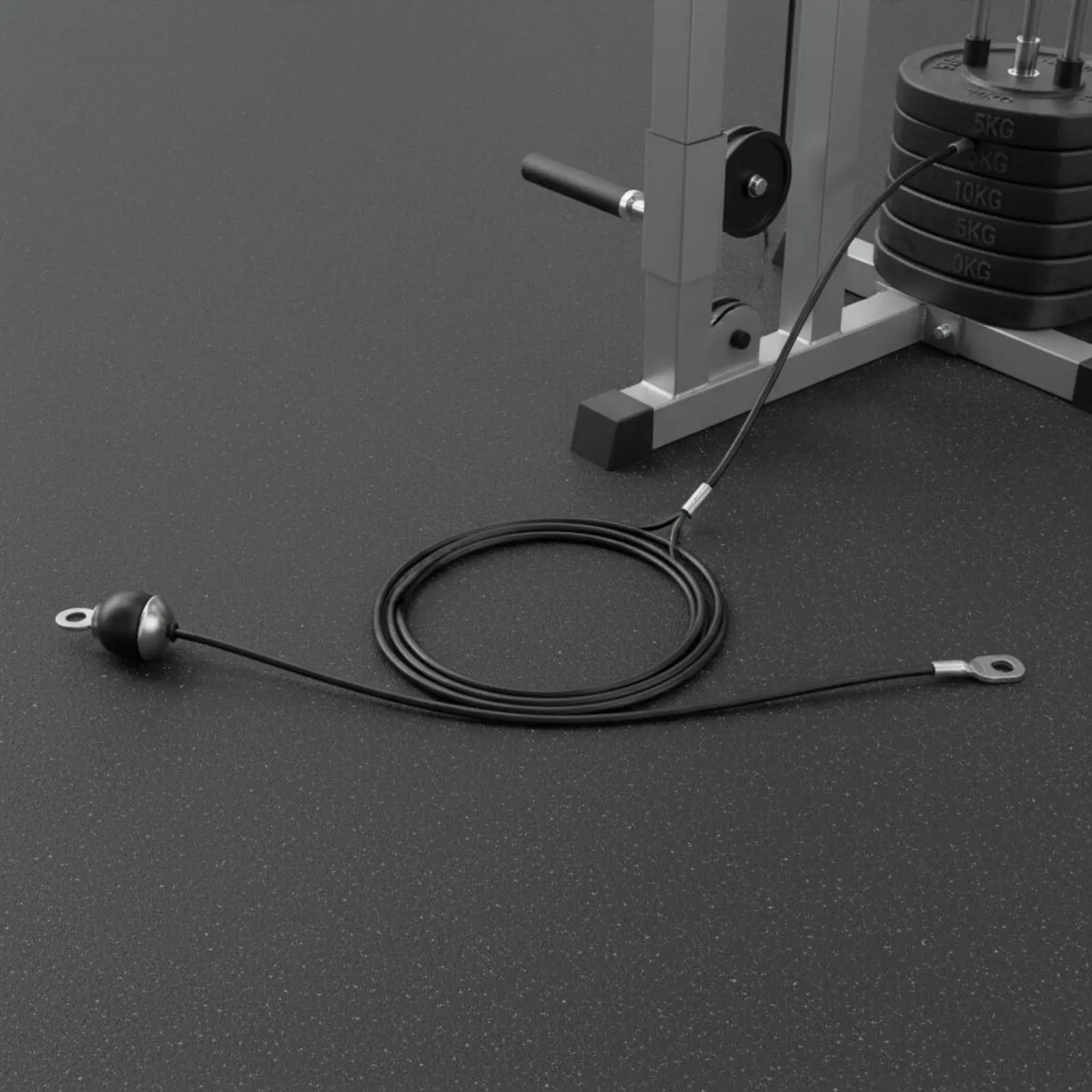 Gimnasio para Mascotas: Cable recubierto en acero para Gatos y Perros - imagen 5