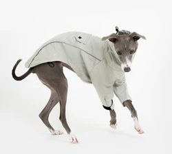 Chaqueta impermeable para perros pequeños y medianos tipo Whippet