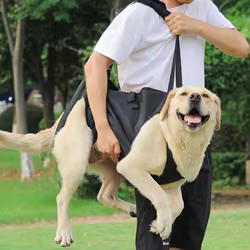 Transportín con arnés de apoyo para perros mayores o lesionados