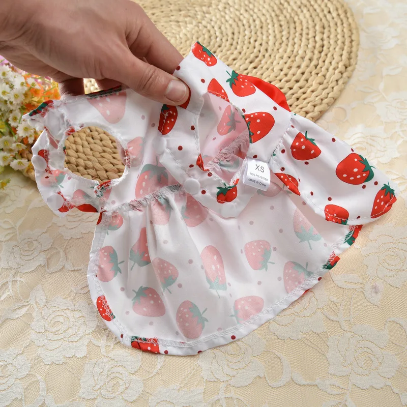 Falda fina para perro, ropa para mascotas, vestido bonito para cachorros y gatitos, suministros de verano, accesorio para perros pequeños - imagen 4