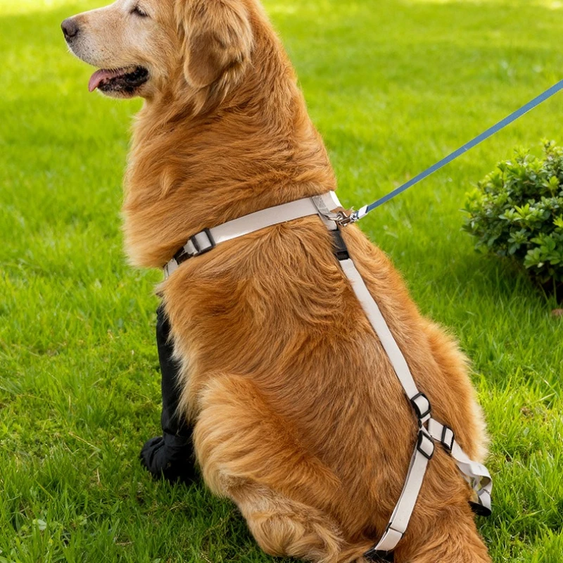 Botas impermeables para perros talla grande con suela antideslizante - imagen 2