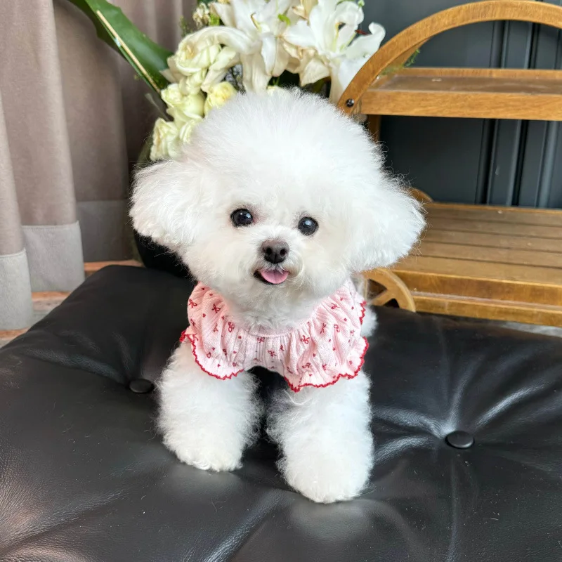 Mono con capucha floral para perros pequeños – Cálido y suave - imagen 2
