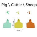 Pig  Cattle  Sheep
