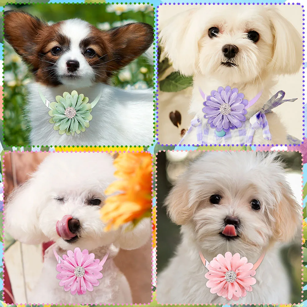 Pajarita con diamantes de flores para perros pequeños, 50 piezas, a la moda, para el cuidado de mascotas - imagen 2