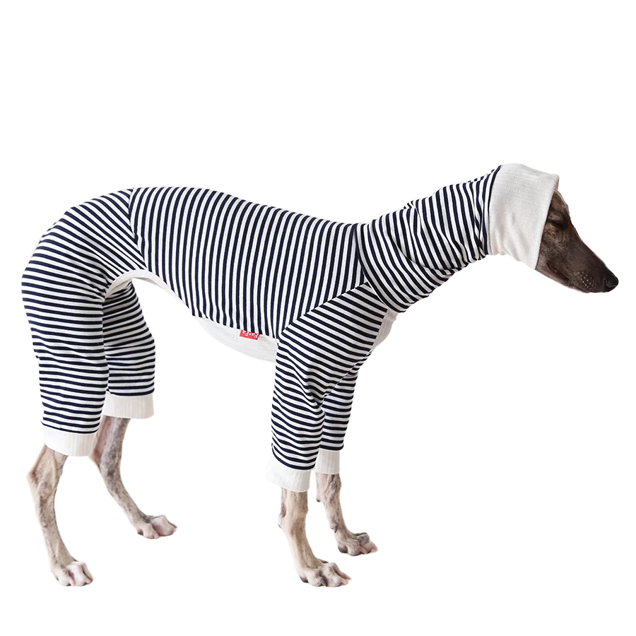 Mono elástico para galgo italiano y whippet – Cómodo traje con rayas - imagen 4