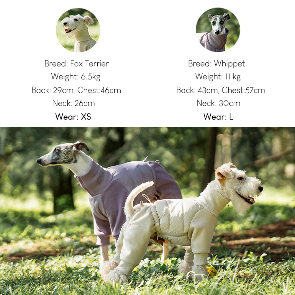 Ropa cálida de invierno para perros, traje para perros al aire libre con cuello alto a prueba de viento para perros pequeños y medianos, abrigo grueso de lana Sherpa para perros Whippet - imagen 3