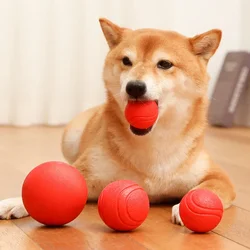 Pelota masticar para perros – Goma resistente tamaños S a L