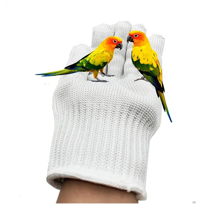 Guantes de entrenamiento de aves antimordeduras, guantes protectores de seguridad para masticar, guantes de manipulación de animales pequeños para loros, cacatúas y loros - imagen 2