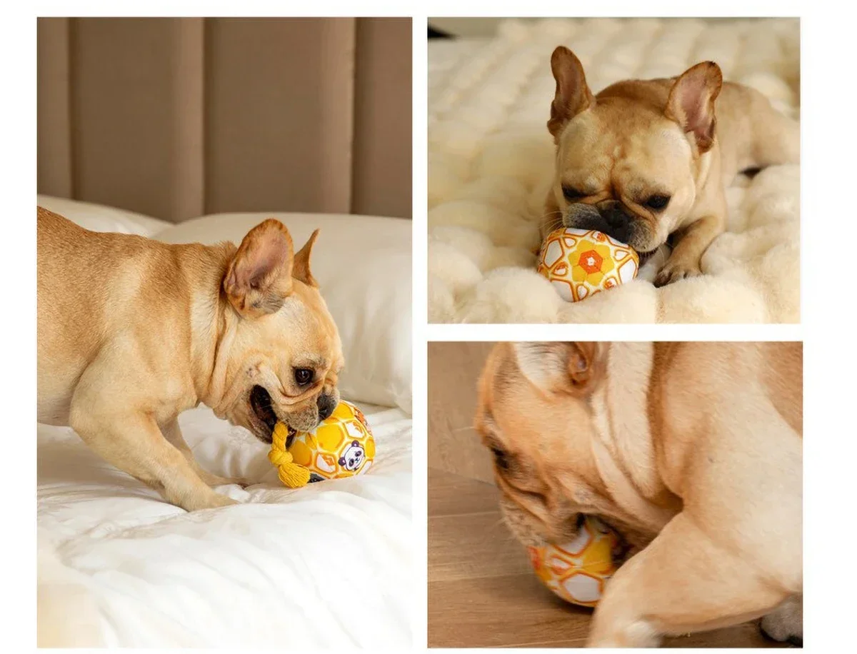 Pelota interactiva con campana para perros y gatos – Asa de cuerda - imagen 3