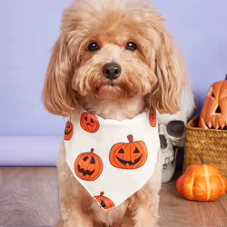 Bandana de Halloween para perro suave ajustable calabaza y telaraña
