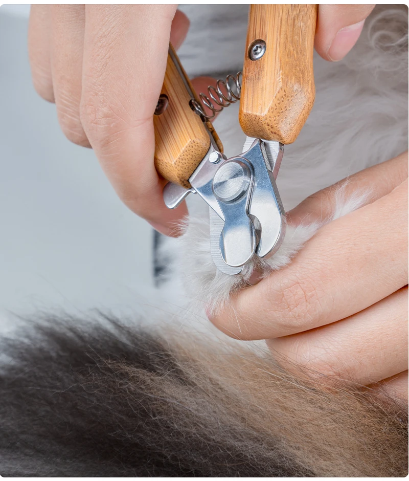 Truelove-cortadora de uñas profesional de acero inoxidable para perros y gatos, tijeras para garras respetuosas con el hogar para principiantes, cuidado de mascotas TLK26131 - imagen 5