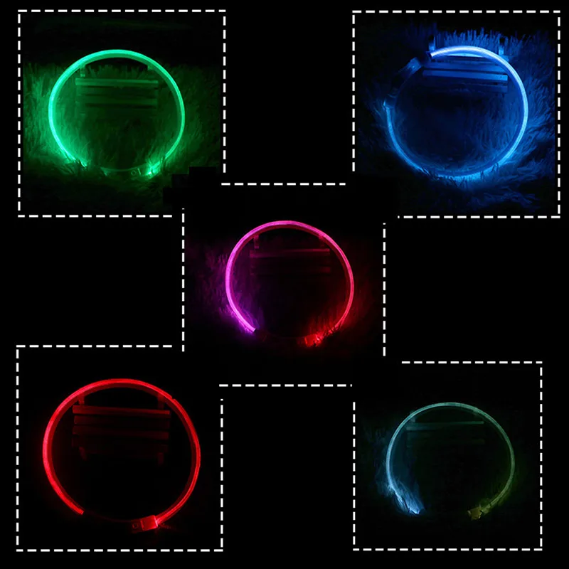 Collar Led Usb para perro, Collar de carga luminosa nocturna para perro, Collar de prevención de pérdida de perro con brillo intermitente de seguridad nocturna, accesorios para mascotas - imagen 4