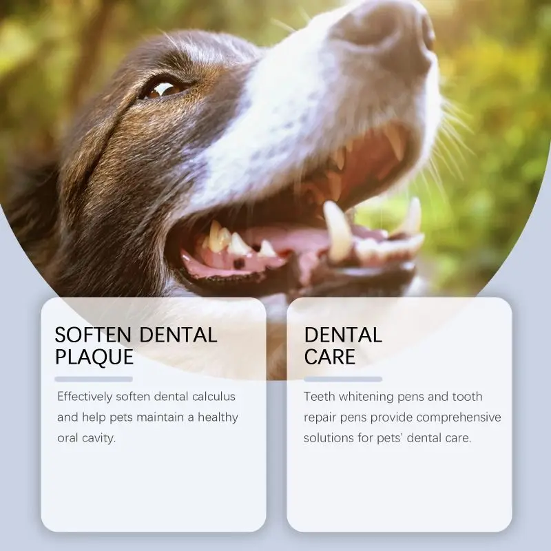 Limpiador de dientes para mascotas, lápiz Dental, juego de limpieza para perros, mejora el mal aliento, cálculo, sarro, accesorios de cama, suministros para mascotas, productos - imagen 2