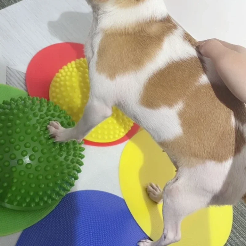 AVC-almohadilla de pata de perro para mascota, entrenamiento hemiesférico, corrección de equilibrio nervioso, atrofia muscular, cirugía, rótula de rodilla, columna Lumbar, producto para mascotas - imagen 5