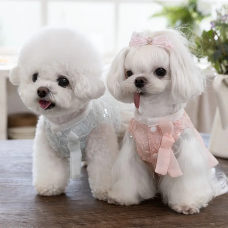 Vestido de primavera con encaje para perros pequeños – falda plisada